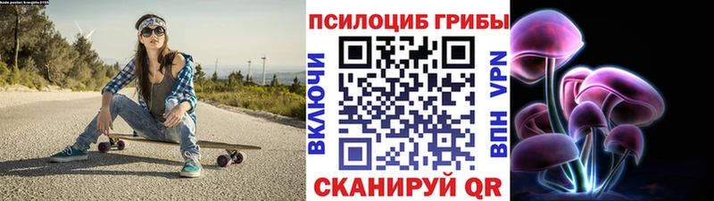 Псилоцибиновые грибы мицелий  hydra маркетплейс  Шуя  купить закладку 