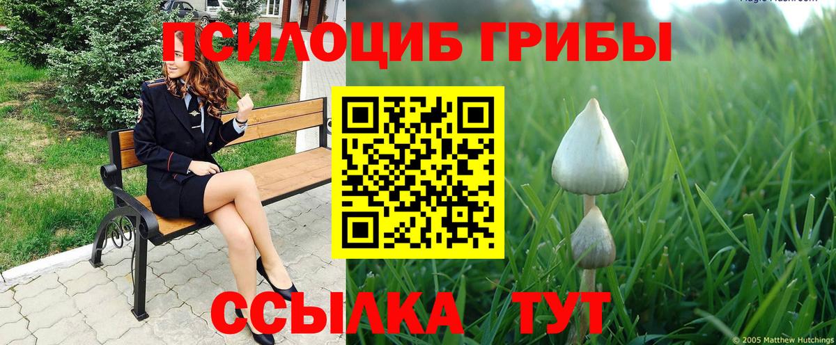 Псилоцибиновые грибы GOLDEN TEACHER Шуя