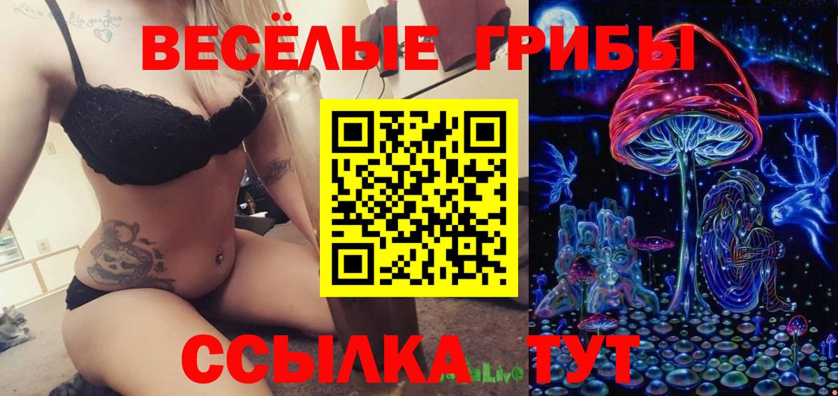 закладки  Псилоцибиновые грибы ЛСД  Шуя  Вход с VPN  Галлюциногенные грибы GOLDEN TEACHER 